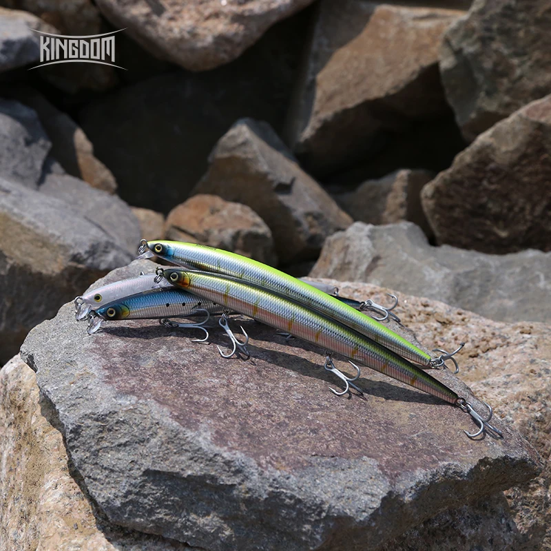 Kingdom Long Casting Richiamo  - Fishing Lure Jerkbait recensione e prezzo